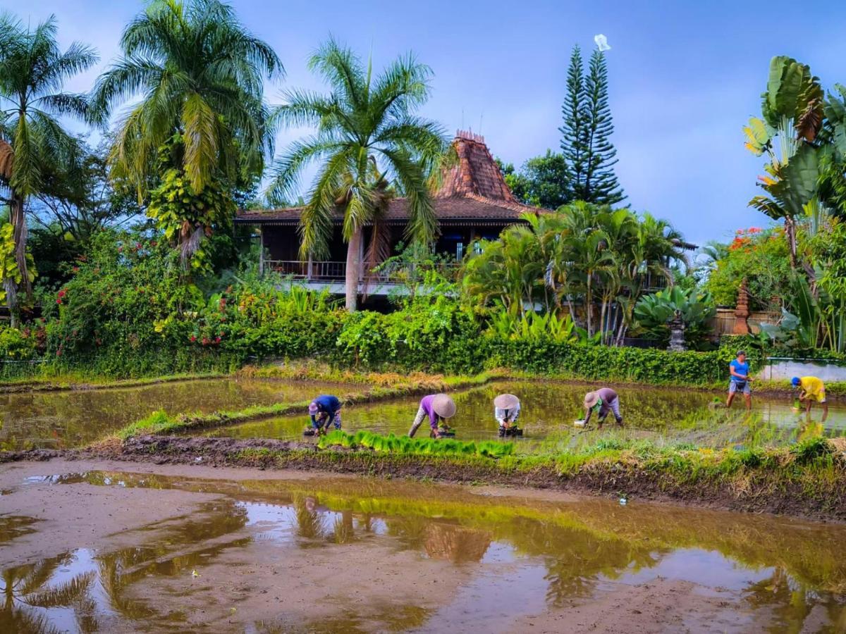 Ayu Dira Heritage House Убуд Екстер'єр фото