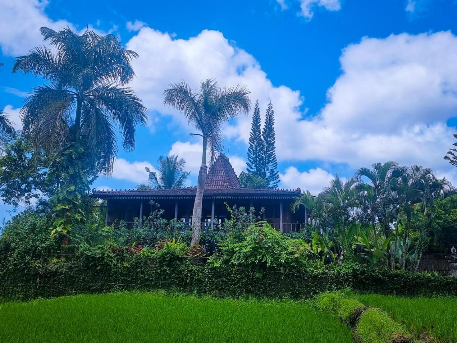 Ayu Dira Heritage House Убуд Екстер'єр фото